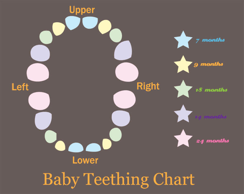 baby-teething-chart
